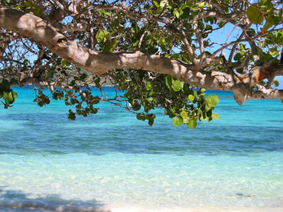 Barbados Reisen, Badeurlaub