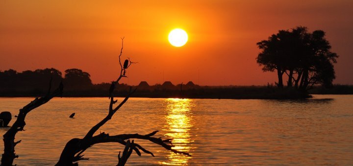 Botswana Reisen 2022, Safari
