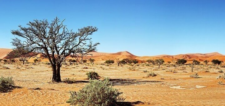 Namibia Autoreise, Selbstfahrer
