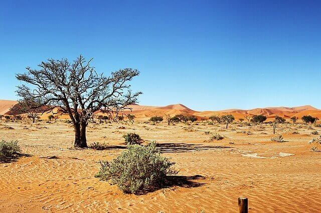 Namibia Autoreise, Selbstfahrer