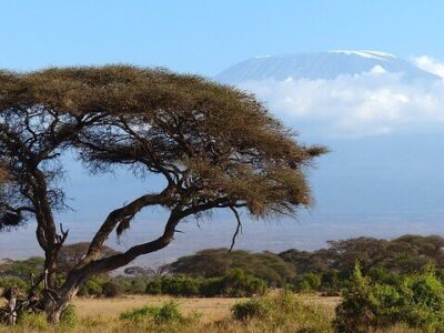 Tansania Safari, Serengeti, Baden auf Sansibar