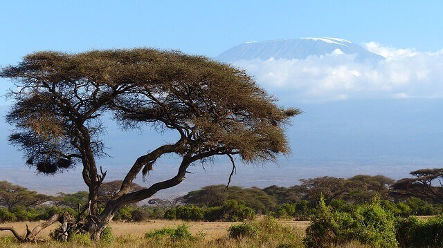 Amboseli Afrika Reisen