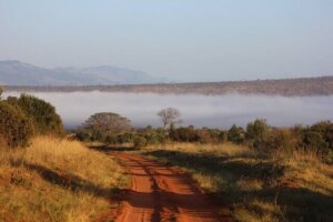 Tsavo, Afrika Rundreise und Baden