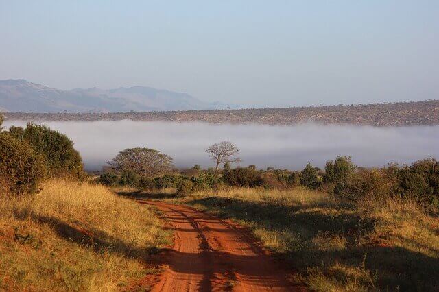 Tsavo Nationalpark Kenia Afrika