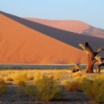 namibia singlereisen