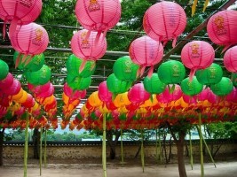 Südkorea Reisen, Rundreise