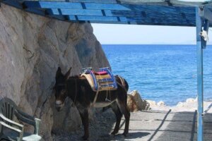 6 Wochen Langzeiturlaub Insel Kos, Überwintern in Griechenland