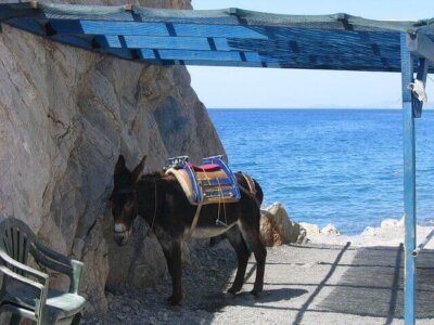 Urlaub auf Kos Griechenland, Langzeiturlaub