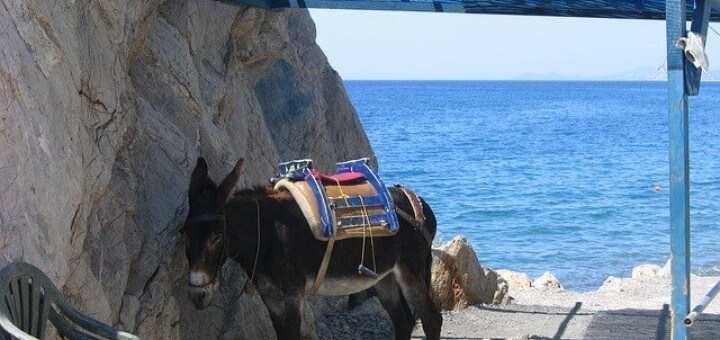 Urlaub auf Kos Griechenland