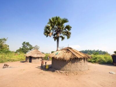 Uganda Trekking Abenteuer, Uganda Explorer