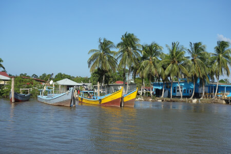 Suriname Reisen