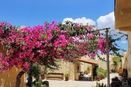 Griechenland Langzeiturlaub Kreta, Korfu