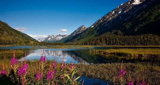 Alaska Reisen, Chugach National forest