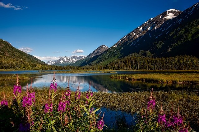 Alaska Reisen 2024 Chugach National forest
