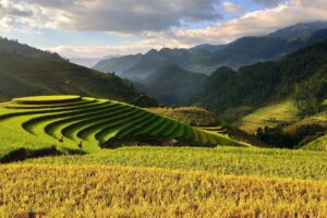 Vietnam Wanderreisen Indochina Aktivreisen