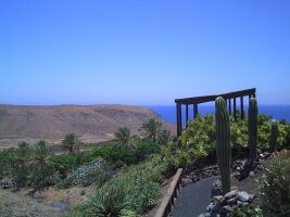 Fuerteventura Kanaren Pauschalreisen
