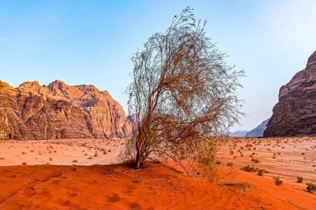 Wüste Wadi Rum, Jordanien