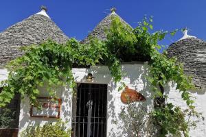 Apulien Reisen, Alberobello, Matera, Lecce, Trani, Ostuni, Bari