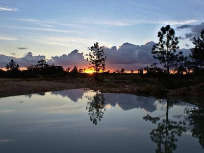Höhepunkte Belize Reise ab Belize City buchen