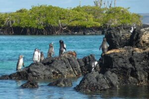 An Bord auf Galapagos westliche und zentrale Inseln