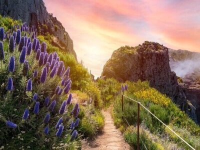 Madeira Wellness Reisen Spa Urlaub Funchal am Meer