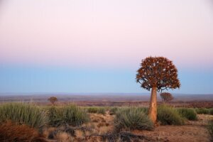 Namibia Fotoreise - Zeichnen mit Licht