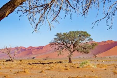 namibia sossusvlei camping safari
