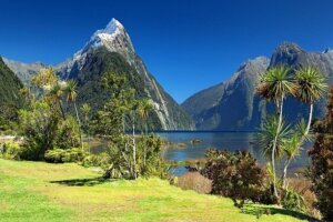 Angebote Neuseeland Rundreisen 2023, 2024 Nordinsel, Südinsel