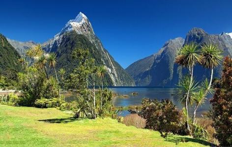 neuseeland rundreise, milford sound