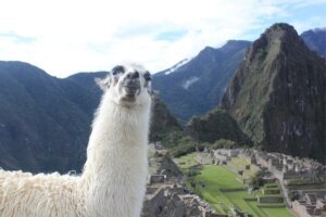 Abenteuer Machu Picchu 8-tägige Kleingruppenreise