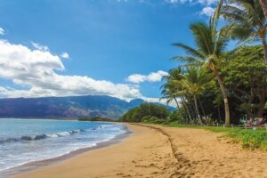 Hawaii Pauschalreisen Waikiki Flug und Hotel 2024
