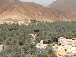 oman rundreise 2025 palmenhain