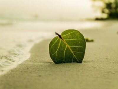 Costa Verde Pauschalreisen Braga, Vila Praia Flug & Hotel