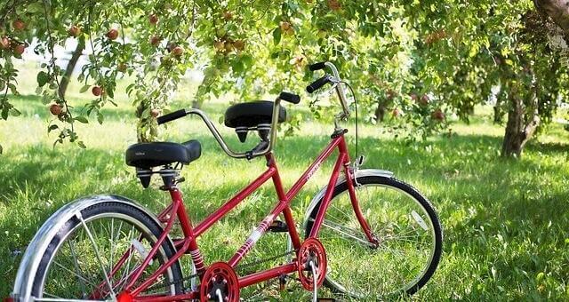 tandem , fahrrad, ungarn, radreise