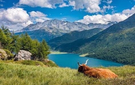 Alpen Schweiz Rundreisen