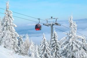 Skiurlaub Angebote 2024 buchen