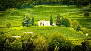 weingut italien, ferienhaus urlaub 2026
