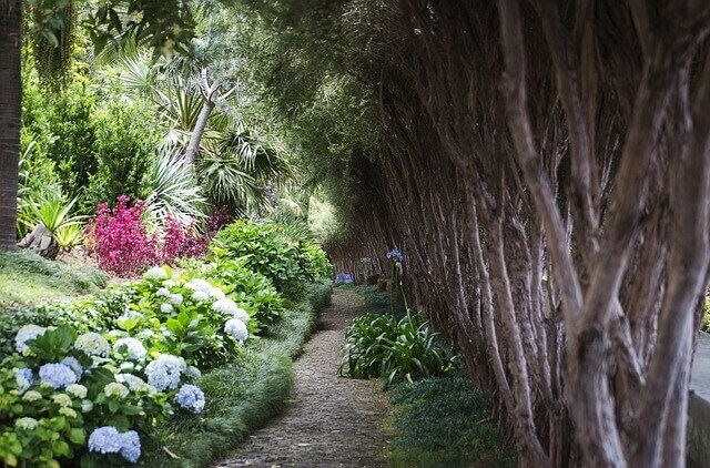 madeira, funchal urlaub