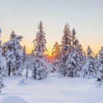 norwegen winterurlaub, winterausrüstung im schnee