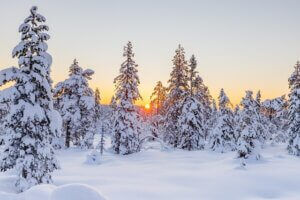 norwegen winterurlaub, schnee