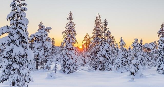 norwegen winterurlaub, schnee