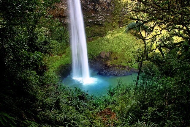 new zealand waterfall