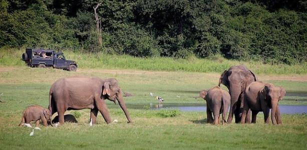 sri lanka dschungelabenteuer