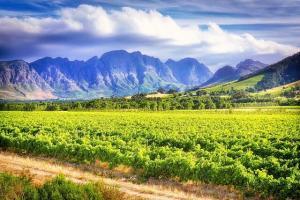 stellenbosch, südafrika, e-bike