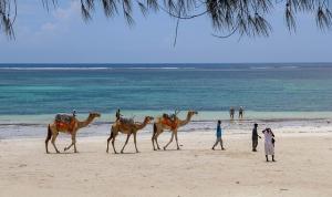 badeurlaub kenia, diani beach, strand