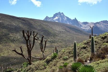 mount kenya