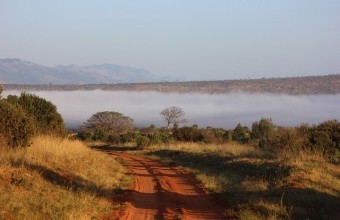 Kenia Reisen 2024 buchen, Safari