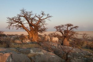 Botswana Camping Safaris Botsuana Campingreise