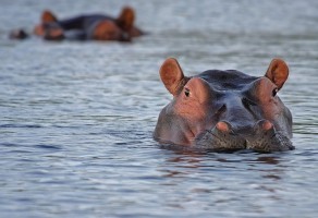 Botswana Sambia Kombireise