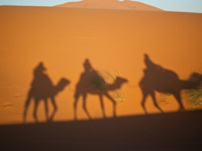Tunesien Kameltrekking im Sandmeer